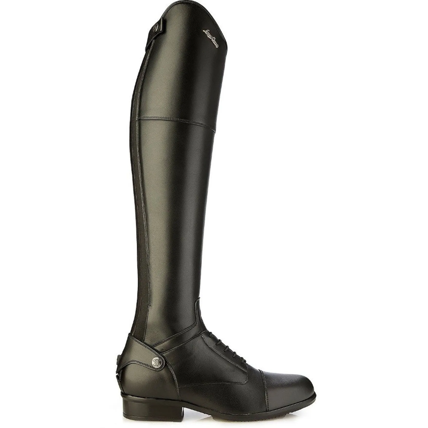 Reitstiefel Evolution, Lederreitstiefel, Damen, Herren, Schwarz