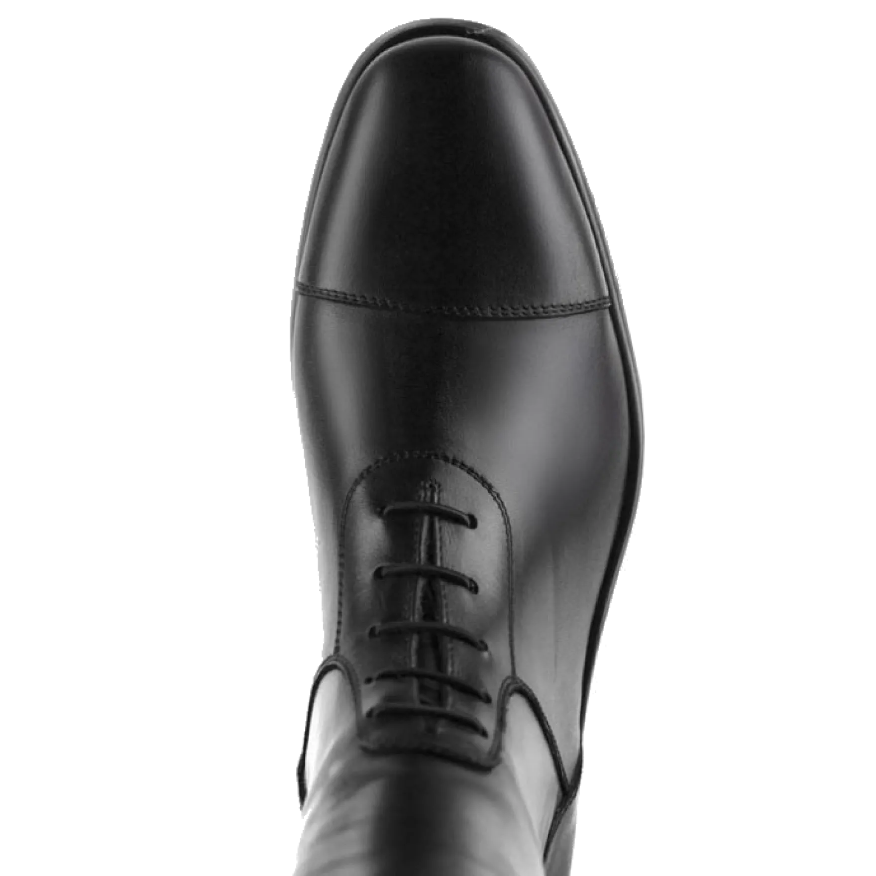 Reitstiefel Galileo, Lederreitstiefel, Damen, Herren, Schwarz
