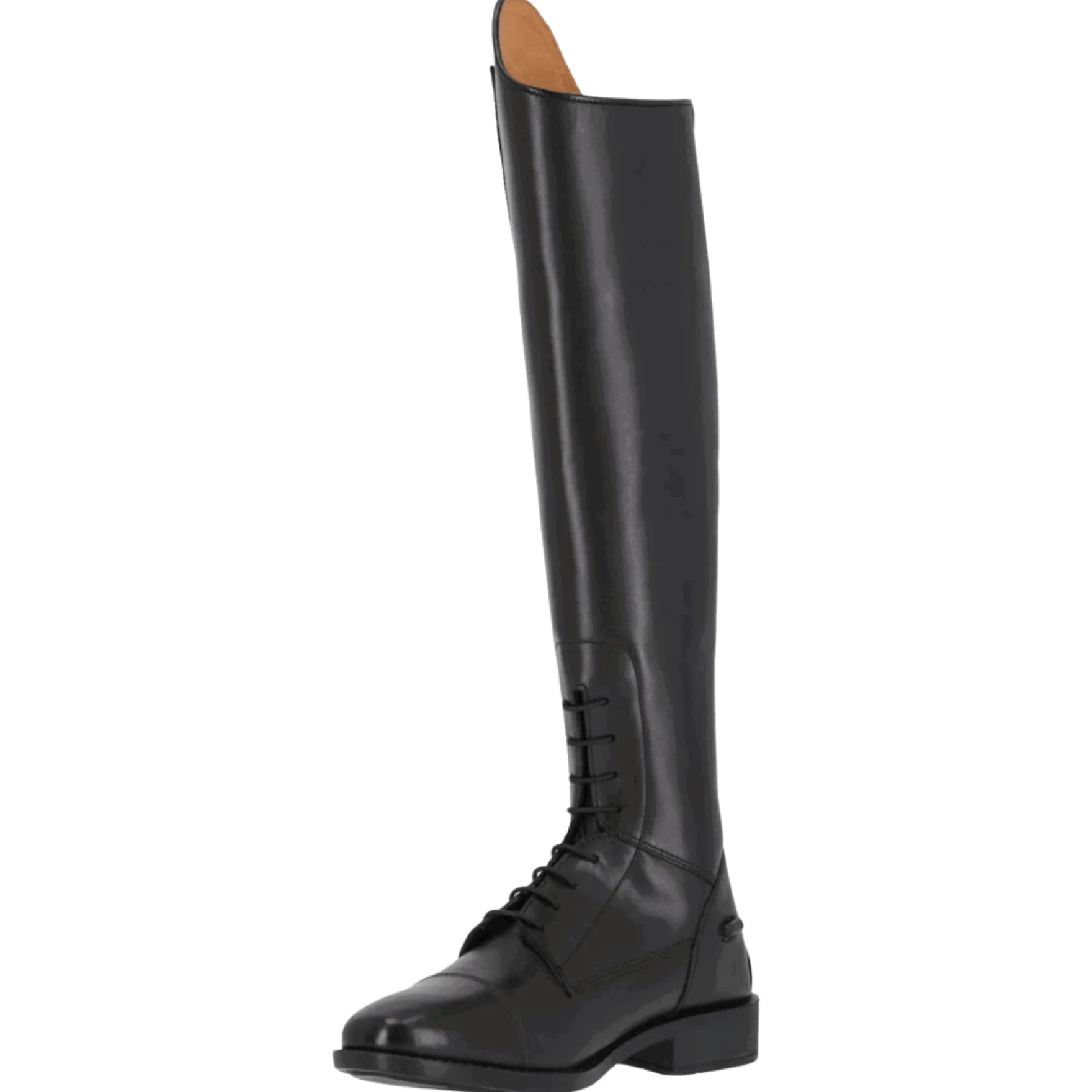 Reitstiefel Sasha Adult, Lederreitstiefel, Damen, Schwarz
