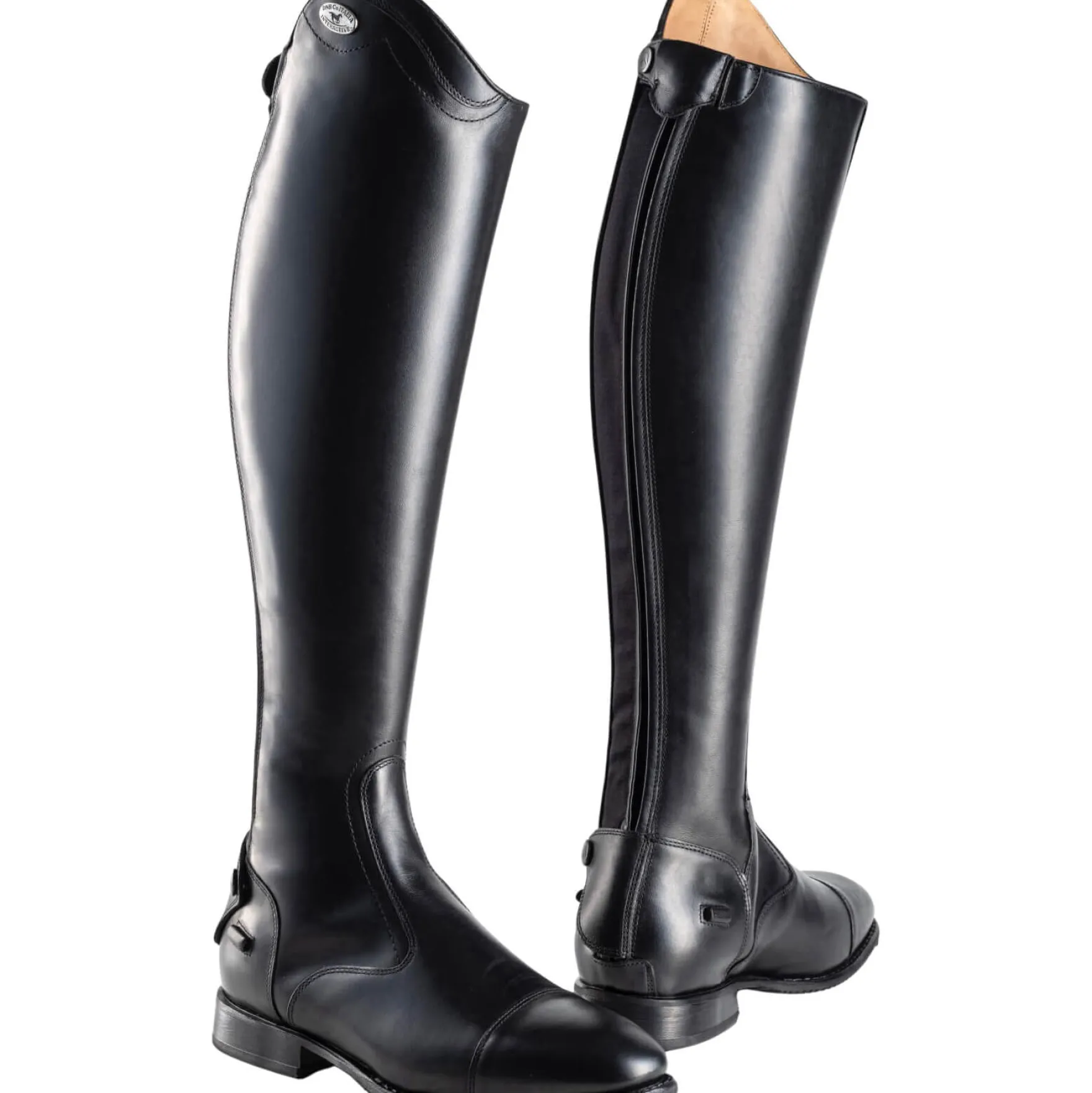 Reitstiefel Volare 01, Lederreitstiefel, Damen, Herren, Pisa Black