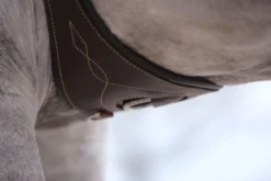 Sattelgurt anatomisch, Langgurt, Leder
