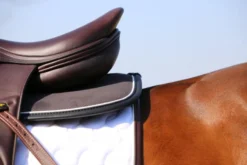 Sattelpad Absorb Anatomic