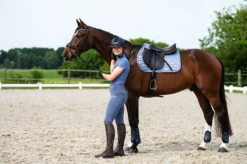 Schabracke Aubree FS26, Springschabracke