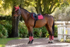 Schabracke Loire Classic Close Contact Square HW25, Springschabracke