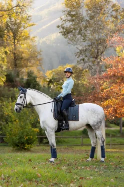 Schabracke Loire Classic Dressage Square HW24, Dressurschabracke