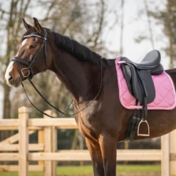 Schabracke Lyvia, Dressurschabracke