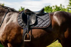Schabracke Newmarket Close Contact FS26, Springschabracke