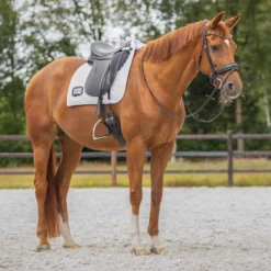 Schabracke Number, Dressurschabracke, inkl. Startnummern