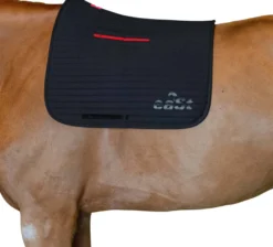 Schabracke Pro, Dressurschabracke