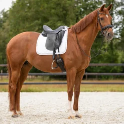 Schabracke Sparkle, Dressurschabracke