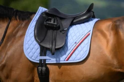 Schabracke Stanford FS26, Dressurschabracke