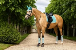 Schabracke Suede Dressage Square FS25, Dressurschabracke