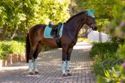 Schabracke Suede Dressage Square FS25, Dressurschabracke