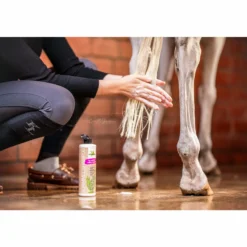 Schimmel Shampoo