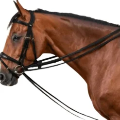 Schlaufzügel DC, Leder