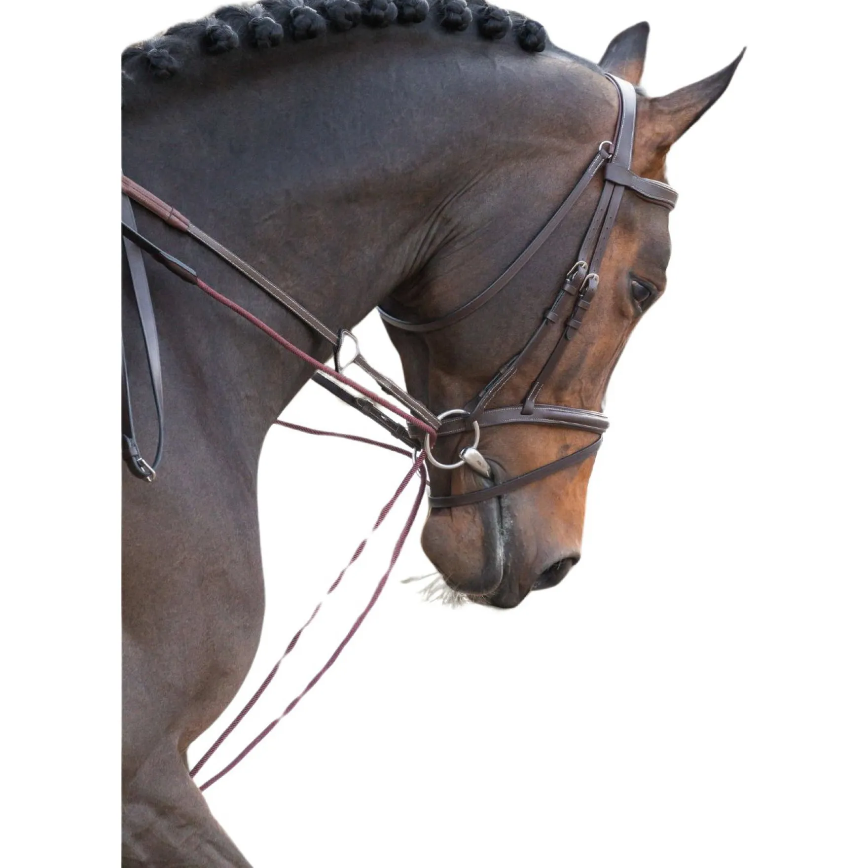 Schlaufzügel WC, Leder, Nylon