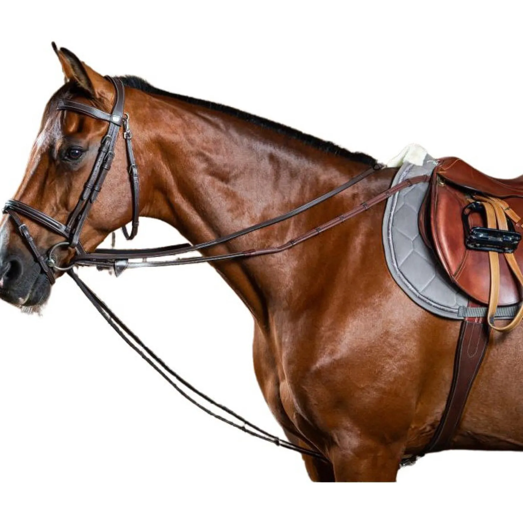 Schlaufzügel WC, 13 mm