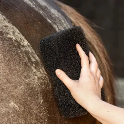 Schwammbürste Equi Super Shiner