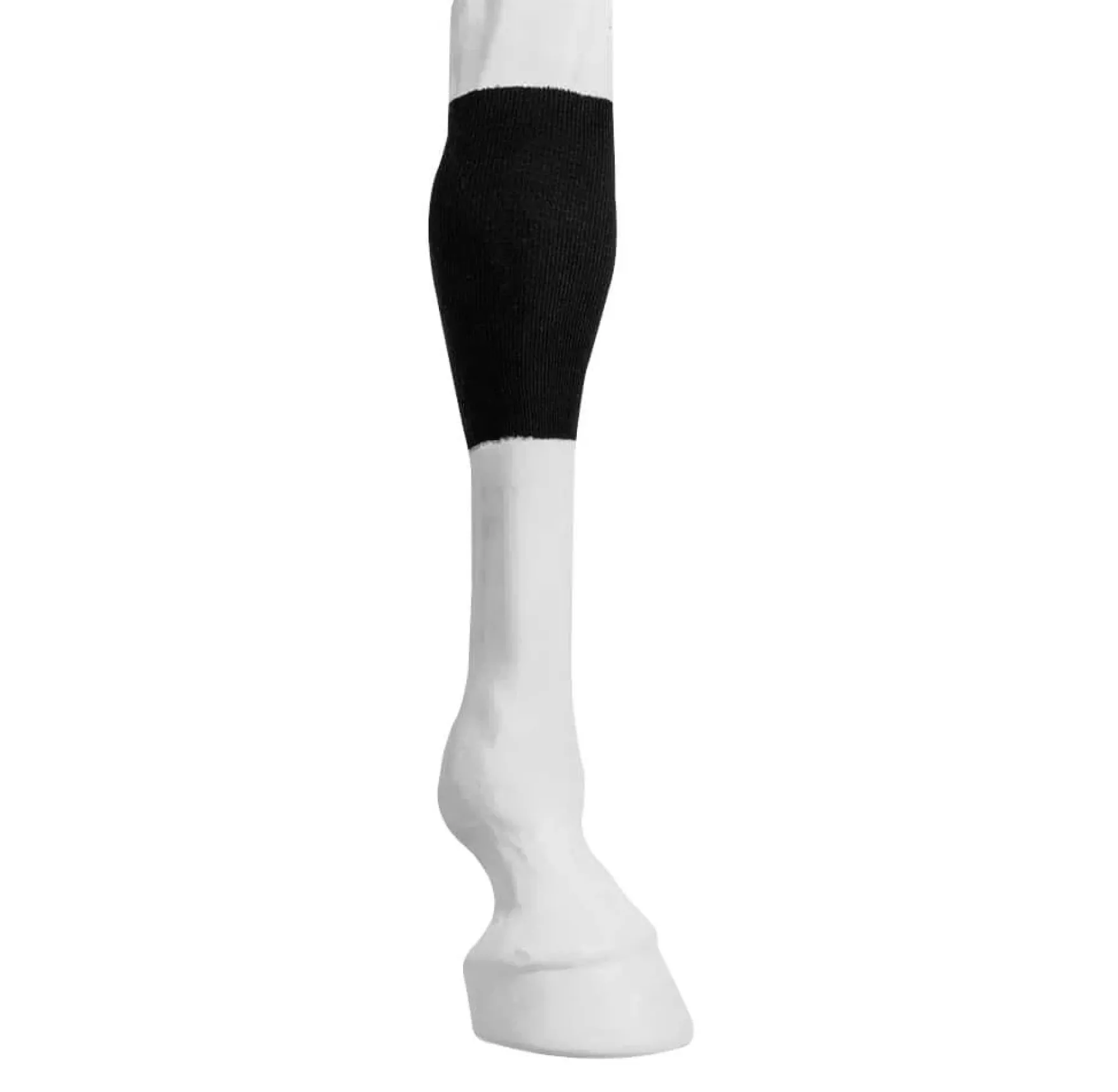Sehnenstrümpfe Tendon Tube