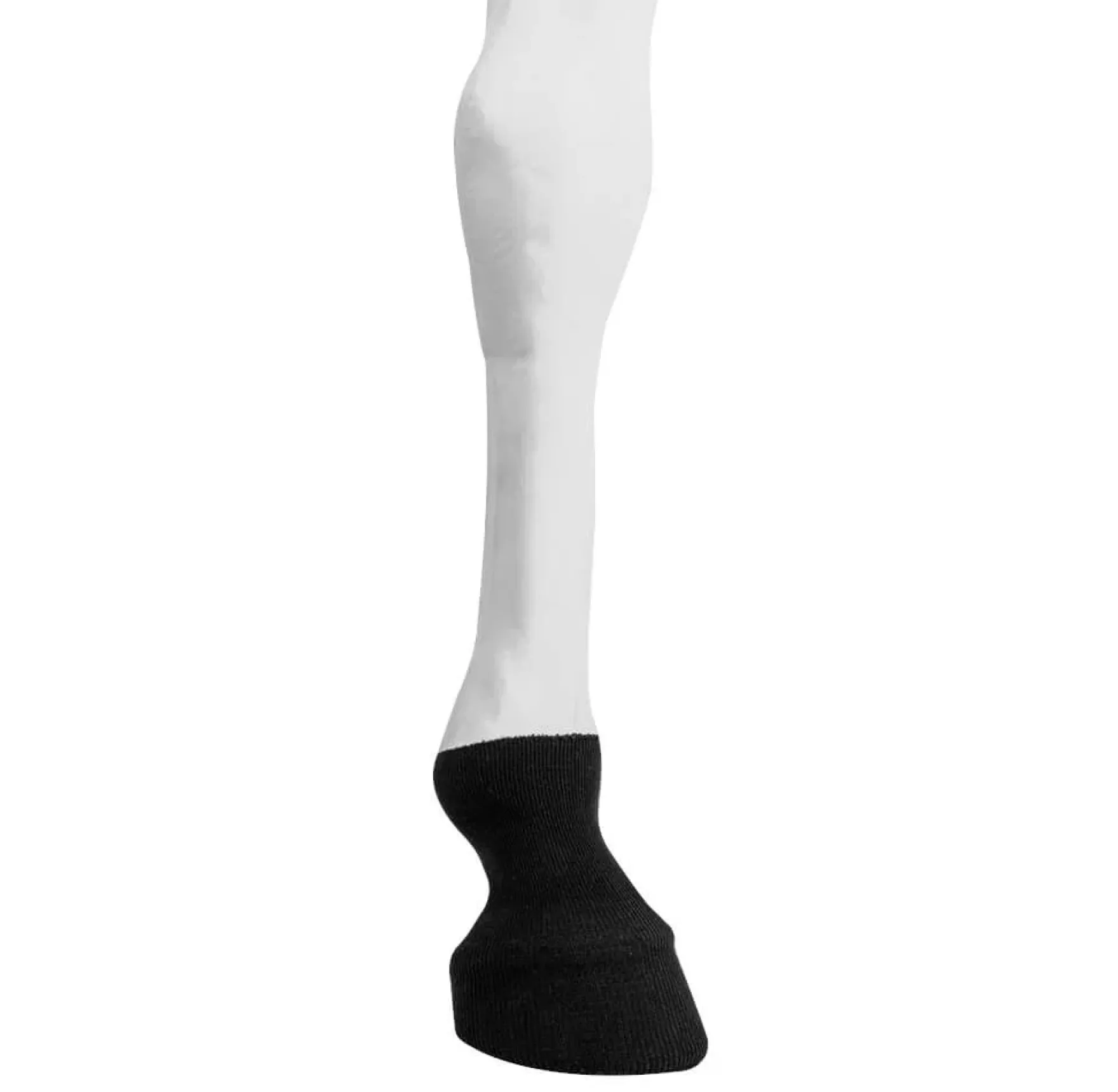 Sehnenstrümpfe Tendon Tube