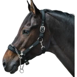 Sicherheitshalfter Pro Safety, Nylonhalfter, mit Kette