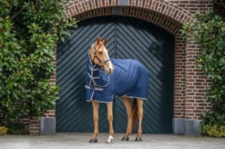 Stalldecke Amigo Quilted Stable Plus, 200 g, mit abnehmbarem Halsteil, Disk-Verschluss
