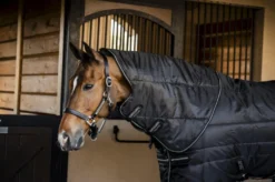 Stalldecke Amigo Ripstop Insulator Plus Stable, 200 g, mit abnehmbarem Halsteil