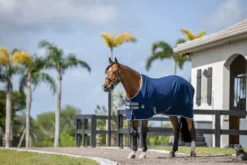 Stalldecke Amigo Stable Sheet, 0 g, Abschwitzdecke, Transportdecke