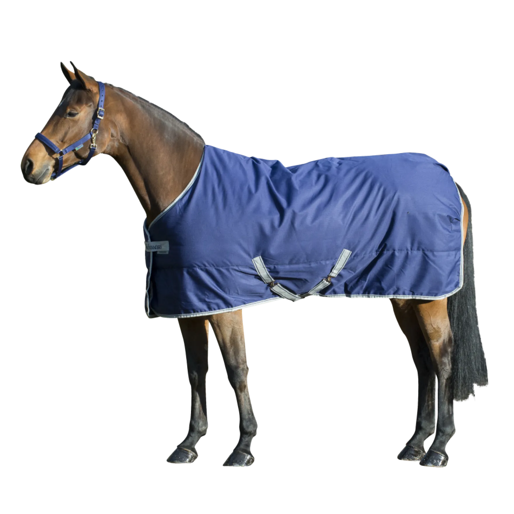 Stalldecke Freedom Stable Extra, 300 g, Winterdecke