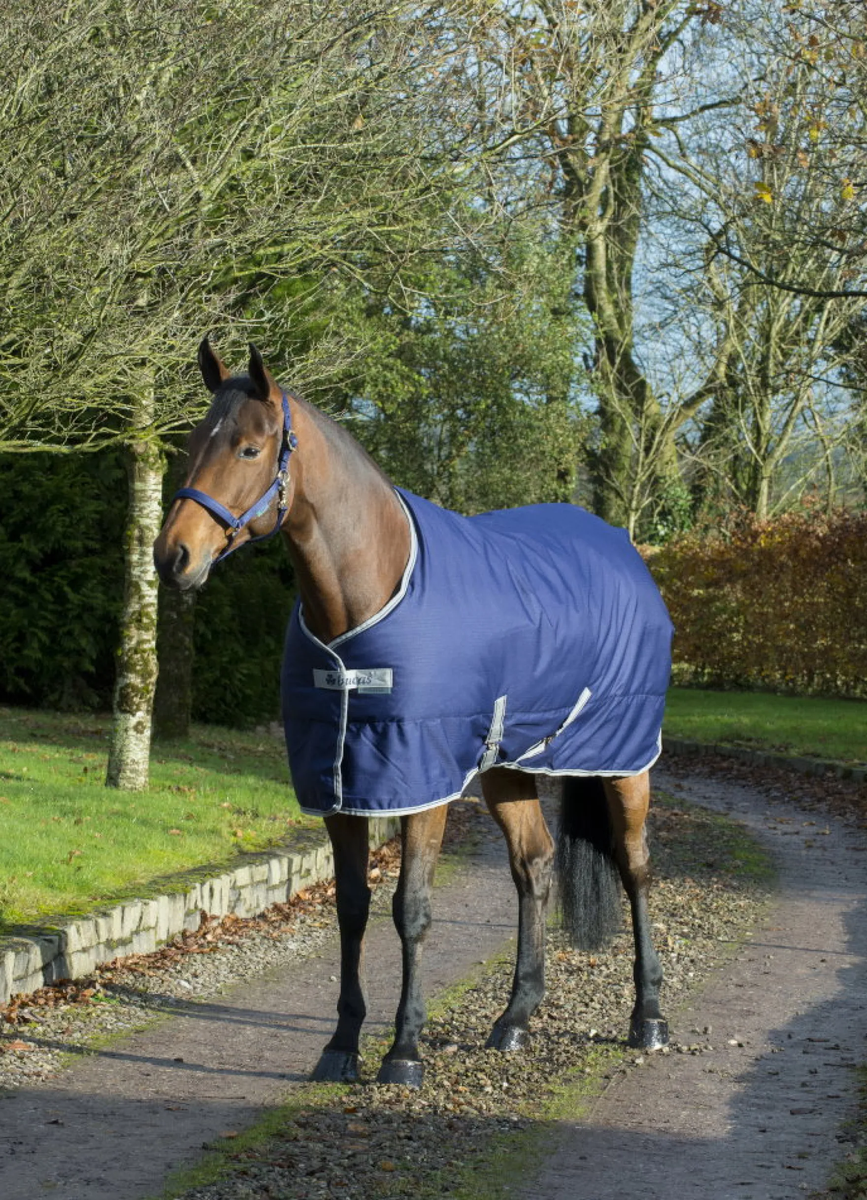 Stalldecke Freedom Stable Medium, 150 g