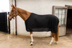 Stalldecke, 0 g, Sommerdecke, Transportdecke