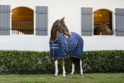 Stalldecke Rambo Stable Rug, 100 g