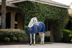 Stalldecke Rambo Stable Sheet, 0 g