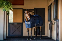 Stalldecke Rhino Stable VL, 350 g, Winterdecke