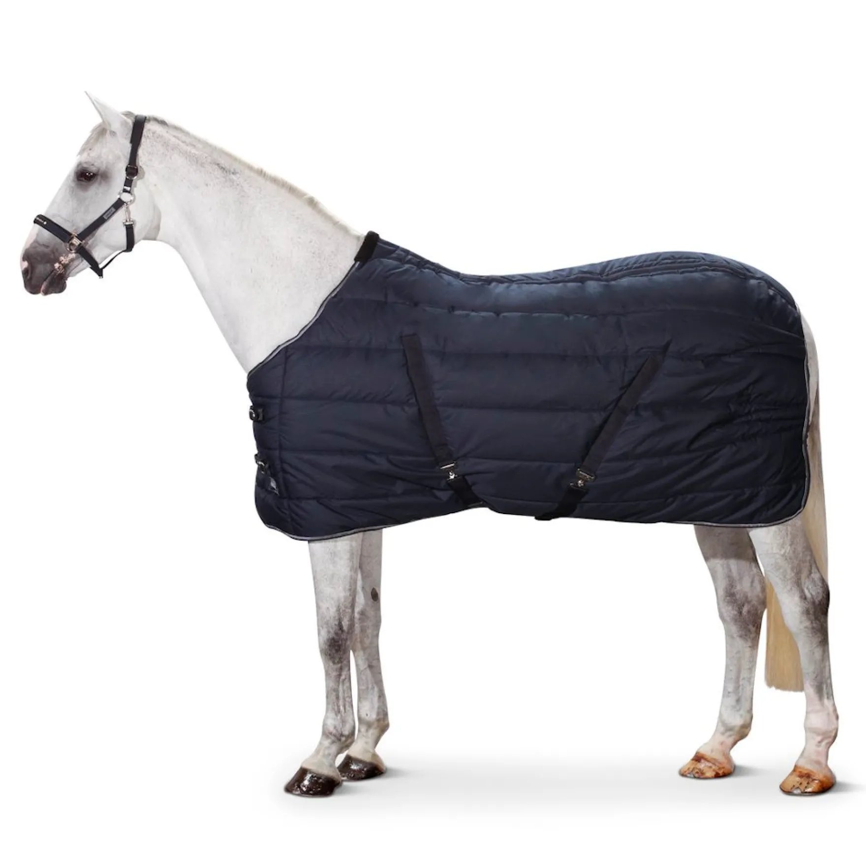 Stalldecke Ripstop Stable, 400 g, Winterdecke