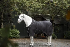 Stalldecke Show Ready Rug FS26, Abschwitzdecke, Transportdecke, mit Halsteil