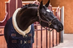Stalldecke Show Rug, 160 g, Turnierdecke, mit Kunstfell