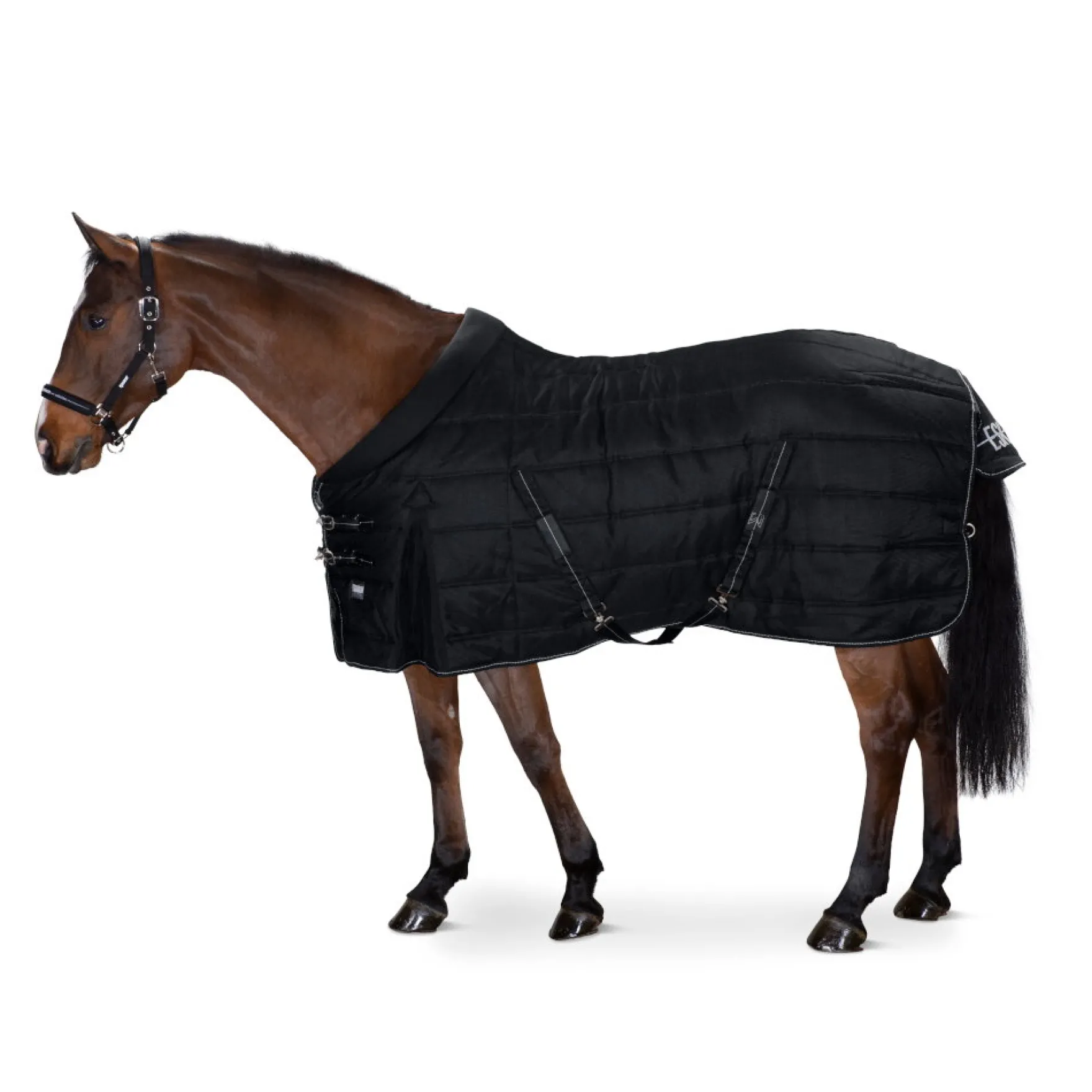 Stalldecke Stable Rug Sigma, 100 g