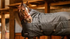 Stalldecke Tetris, 200 g, Winterdecke