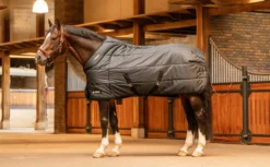Stalldecke Tetris, 200 g, Winterdecke