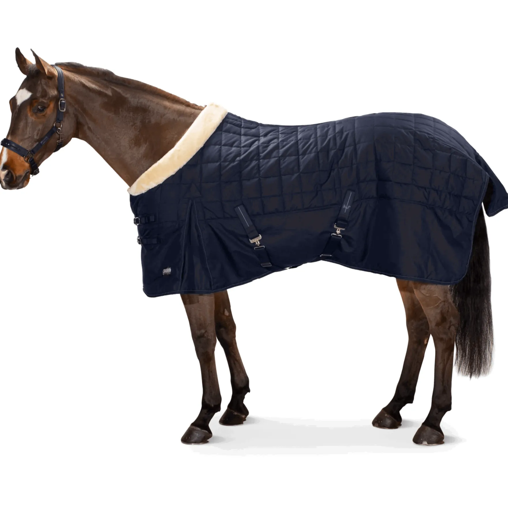 Stalldecke Zeta 200 g