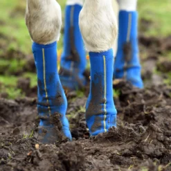 Stallgamaschen Equi Chaps Close Contact, Transportgamaschen, Weidegamaschen