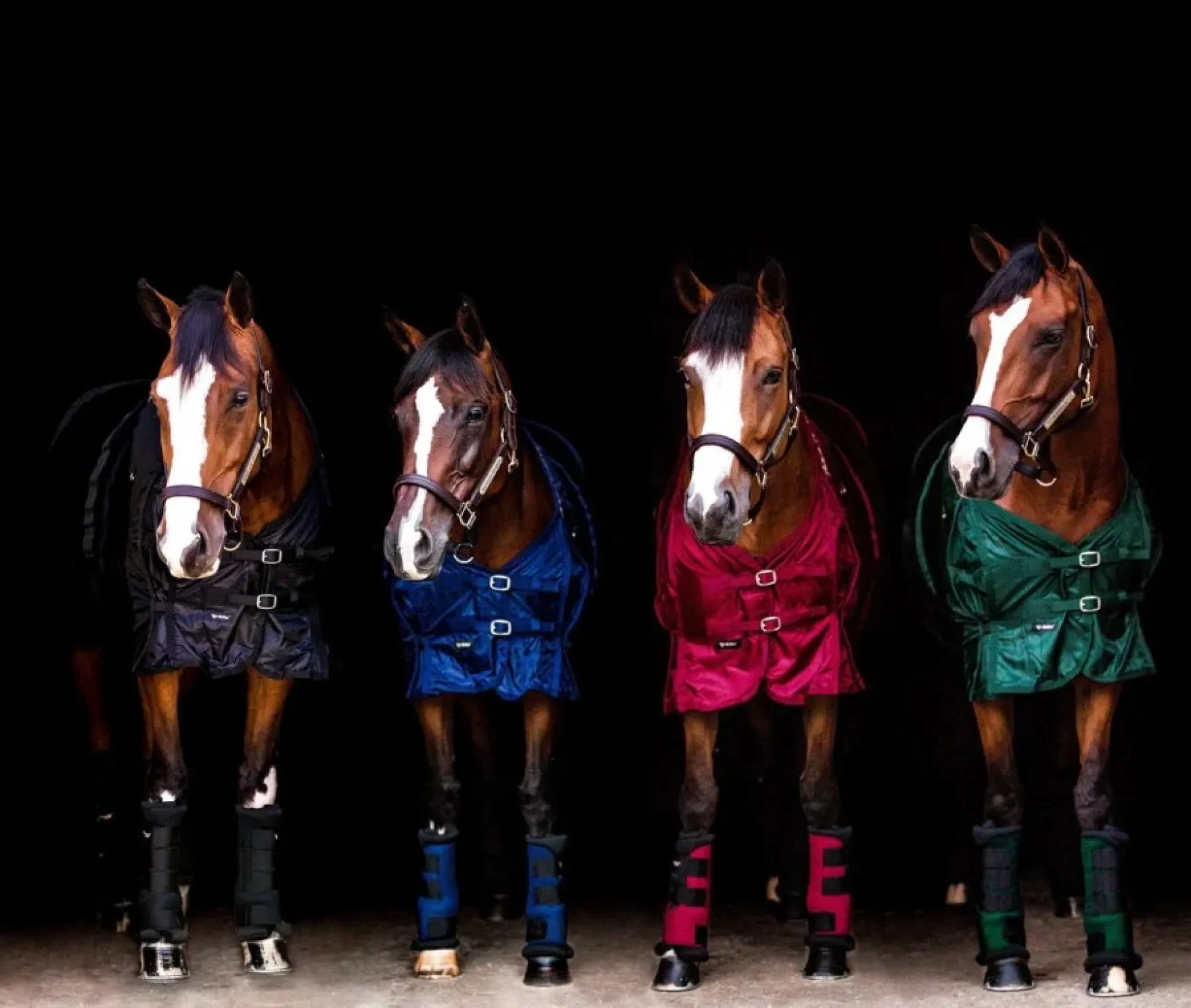Stallgamaschen Royal