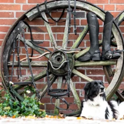 Stirnriemen Cortica, geschwungen