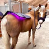 Therapiedecke LED Lichttherapie Topline