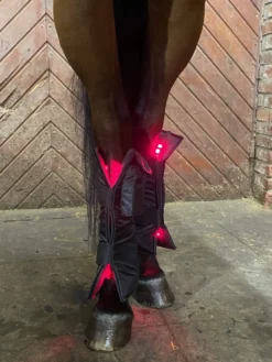 Therapiegamasche LED Lichttherapie Red Edition, 1 Stück