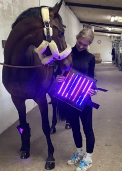 Therapiegamasche LED Lichttherapie Supreme, App steuerbar, 1 Stück