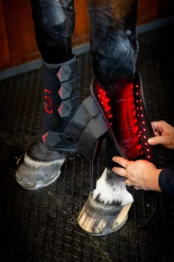 Therapiegamasche LED-Rotlicht-Therapie FS26, rechts