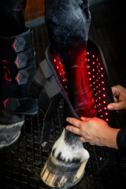 Therapiegamasche LED-Rotlicht-Therapie FS26, links