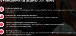 Therapiegamaschen LED-Rotlicht-Therapie FS26, Sprunggelenksgamasche, rechts